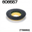 Brosse Longlife verte Ø330mm pour TTB6652 (prévoir 2) - NUMATIC
